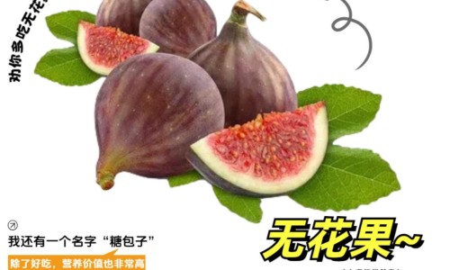 茵栀黄的功效和作用及禁忌-茵栀草图片网 | 茵栀黄的功效和作用是什么,茵栀念什么