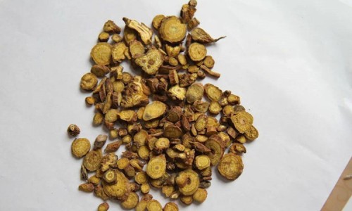 茵栀黄草药图片-茵栀草图片网 | 茵栀黄的功效和作用是什么,茵栀念什么
