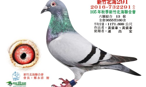 茵栀草图片网 | 茵栀黄的功效和作用是什么,茵栀念什么