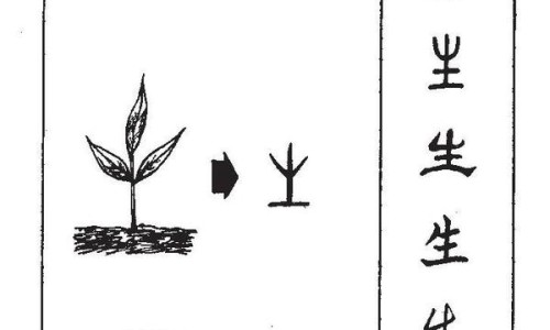 茵栀黄的功效和作用及禁忌-茵栀草图片网 | 茵栀黄的功效和作用是什么,茵栀念什么